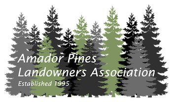 Amador Pines